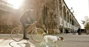 Cyclist and dog pass by Im Viadukt in Zurich's Kreis 5. Photo Diego Alborghetti-Zurich Tourismus