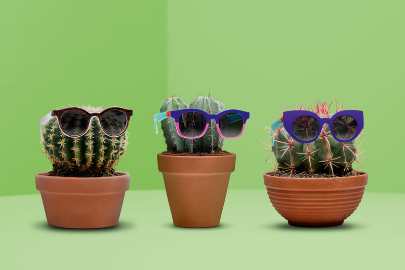Safilo group, Swatch, Helvetic News